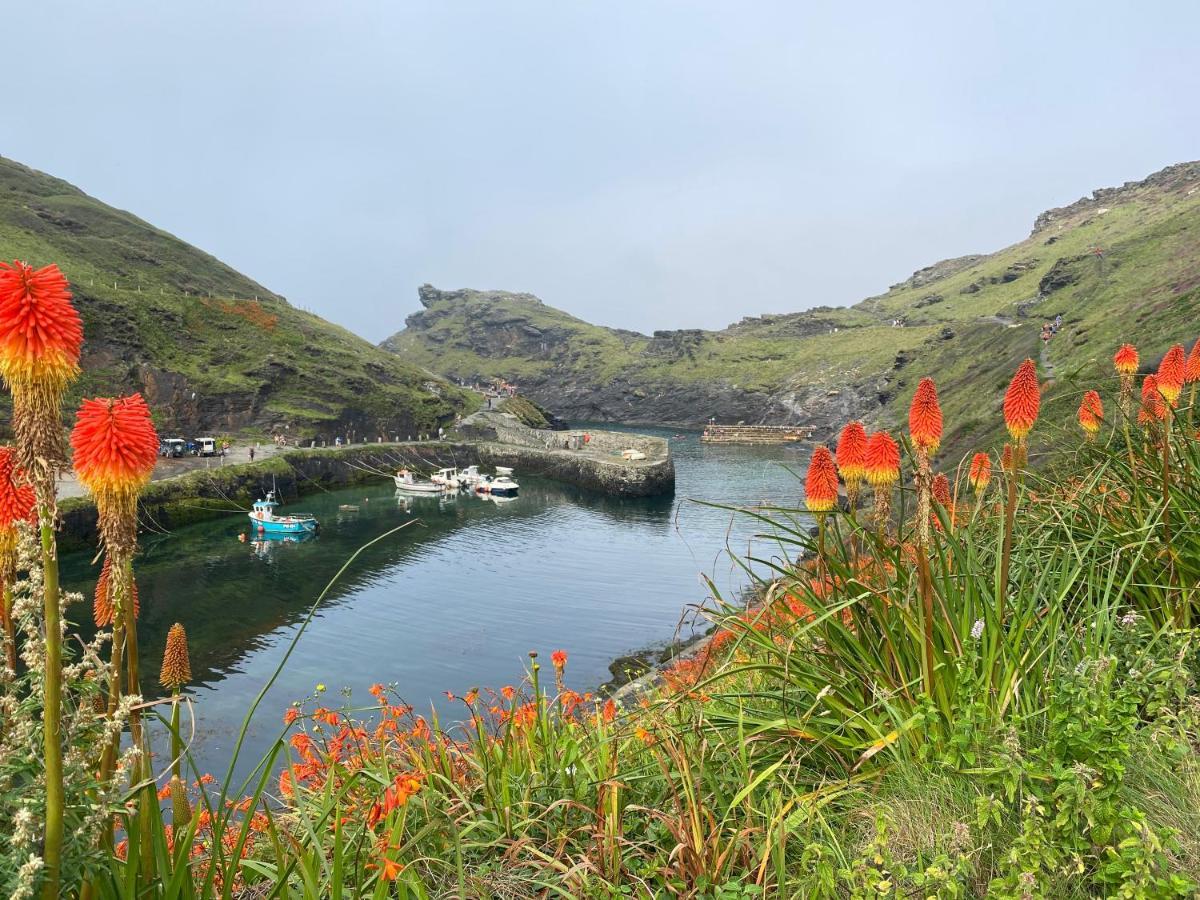 Harbour Light * Boscastle